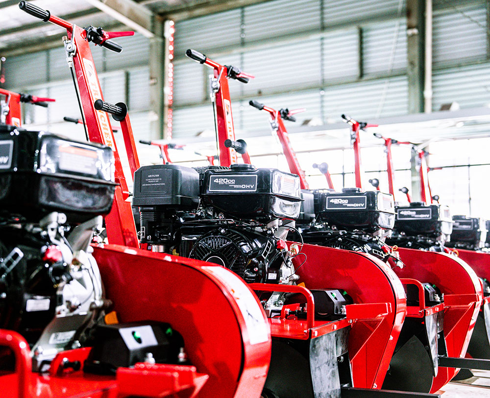 Shutterstock_786280726